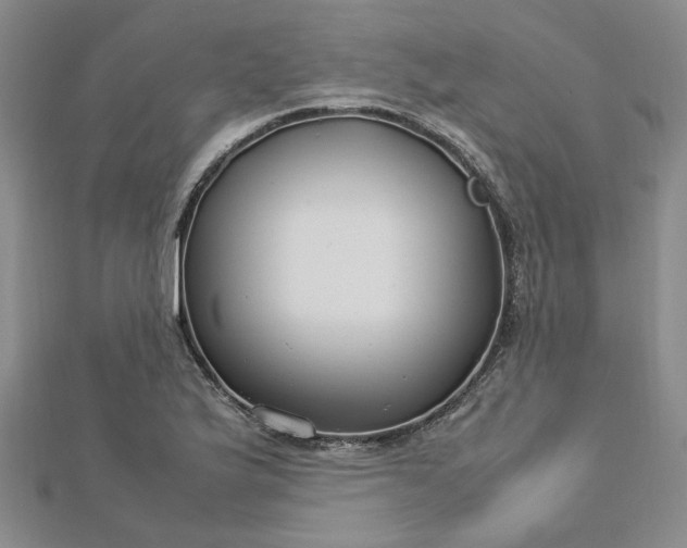 X0000112751175200909031520