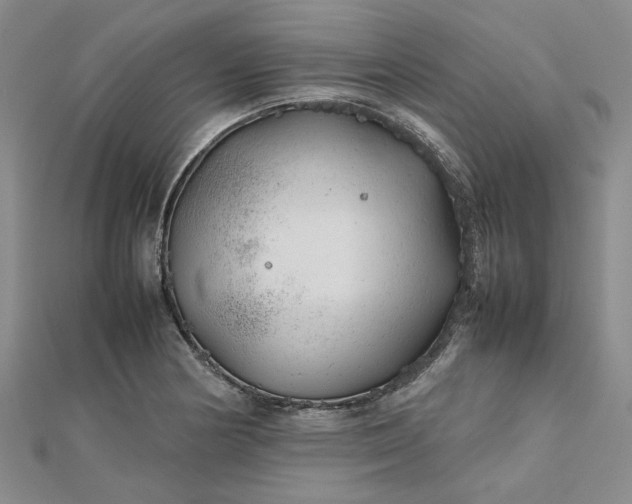 X0000112751178200909031520