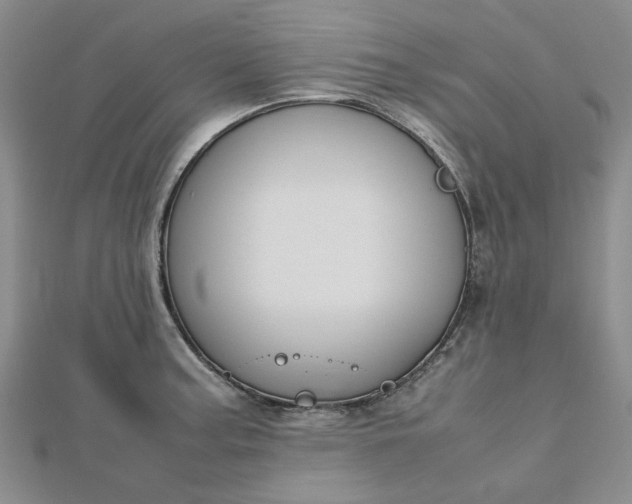 X0000112751187200909031520