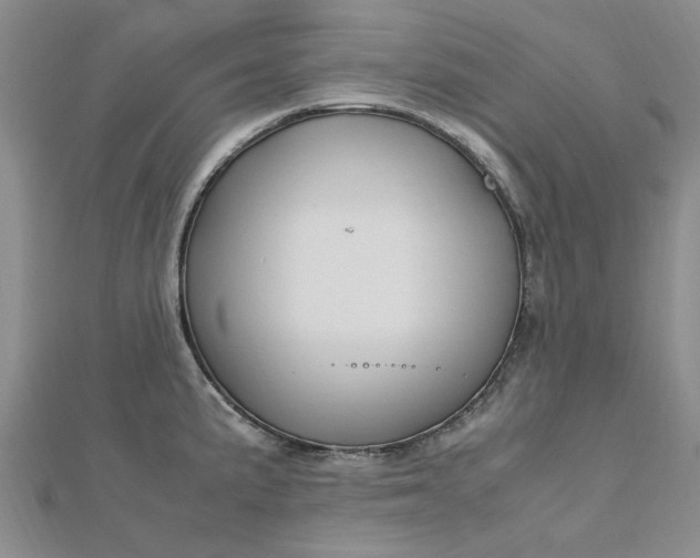 X0000112751191200909031520