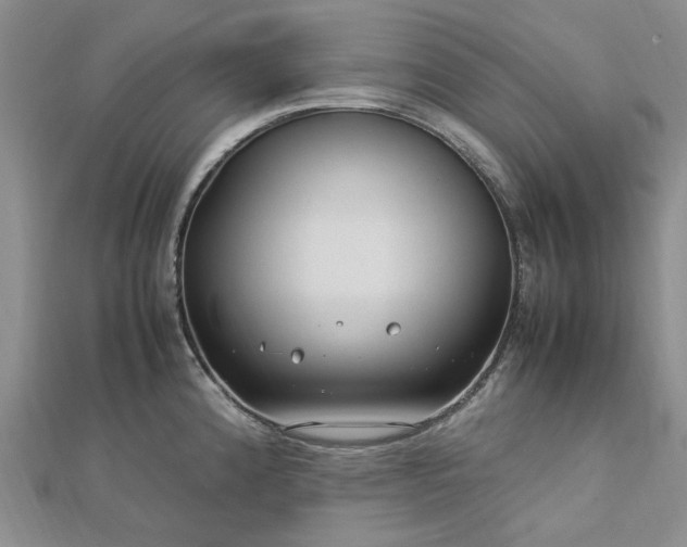 X0000112751192200909031520