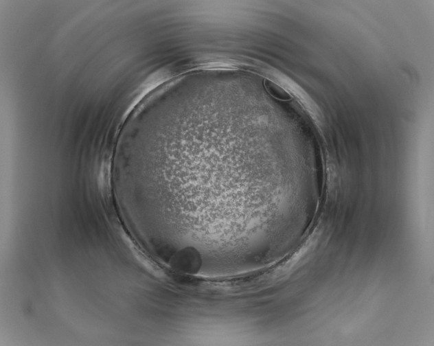 X0000112751194200909031520