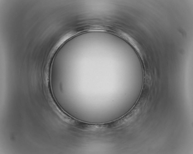 X0000112751195200909031520