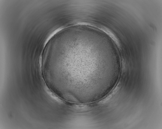 X0000112751198200909031520