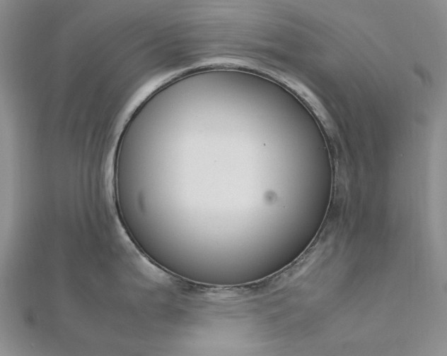 X0000112751199200909031520