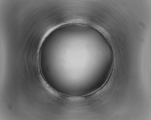 X0000112751200200909031520