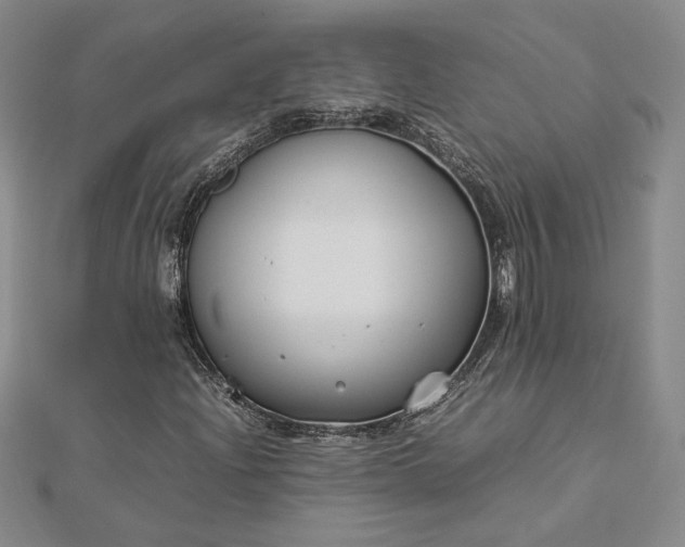 X0000112751204200909031519