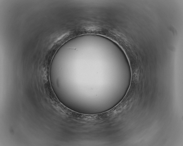 X0000112751205200909031519