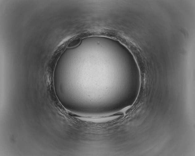 X0000112751206200909031519