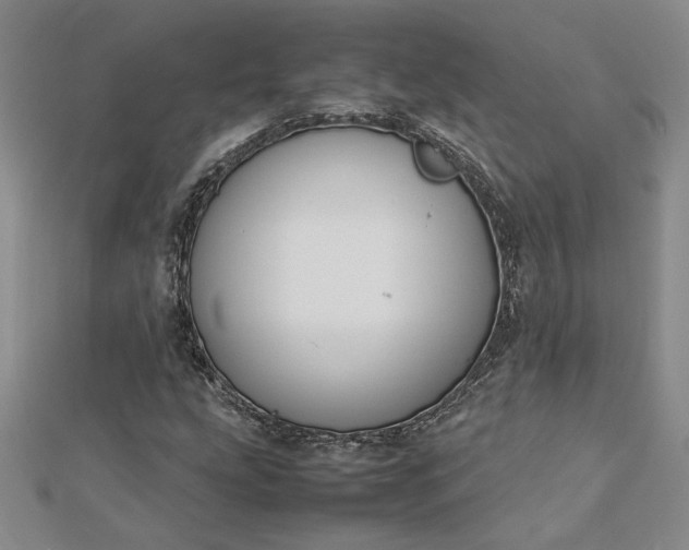 X0000112751207200909031519