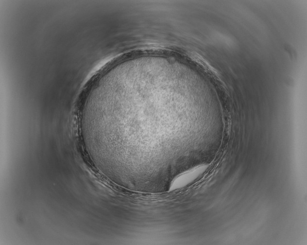 X0000112751208200909031519