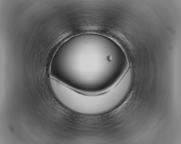 X0000112751209200909031519