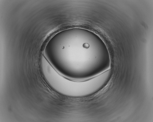 X0000112751210200909031519