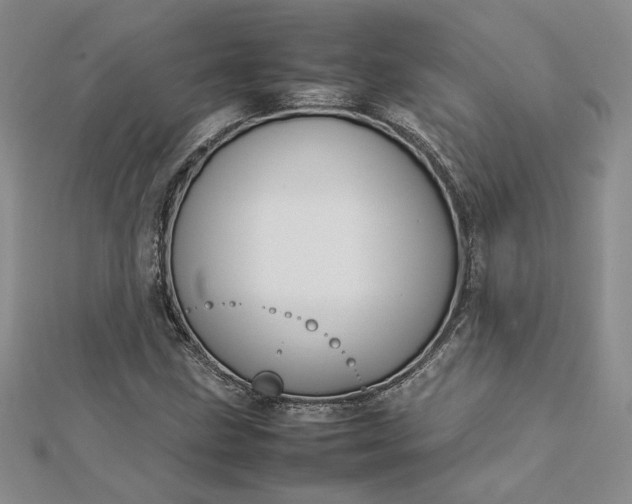 X0000112751211200909031519