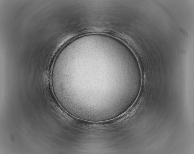 X0000112751212200909031519