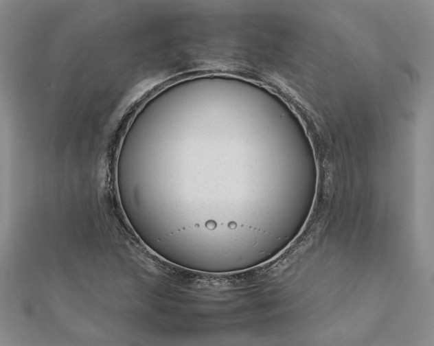 X0000112751215200909031519