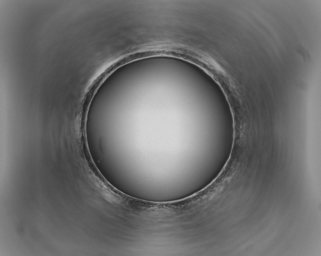 X0000112751216200909031519