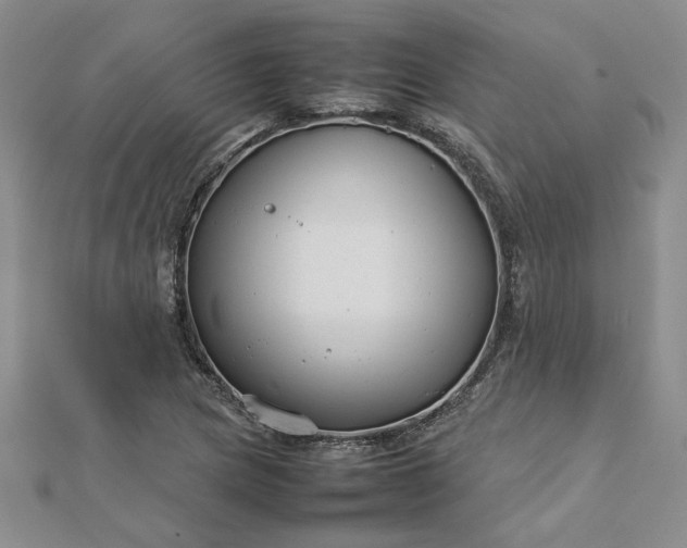 X0000112751217200909031519