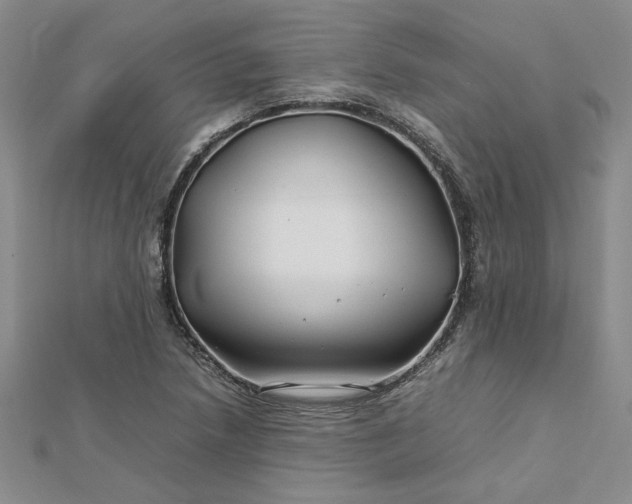 X0000112751218200909031519