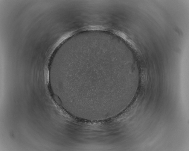 X0000112751221200909031520