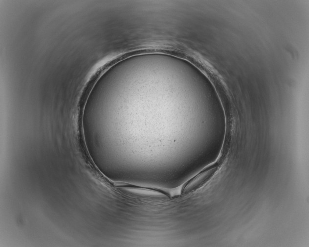 X0000112751222200909031520