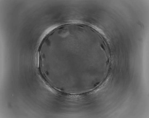 X0000112751223200909031520