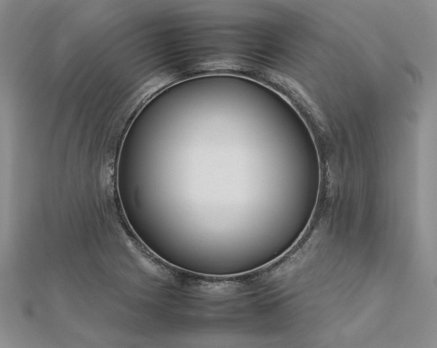 X0000112751225200909031520