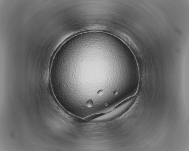 X0000112751228200909031520