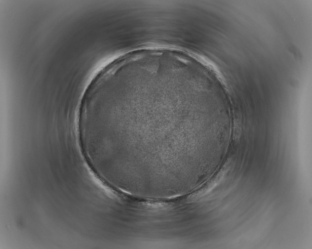 X0000112751231200909031520