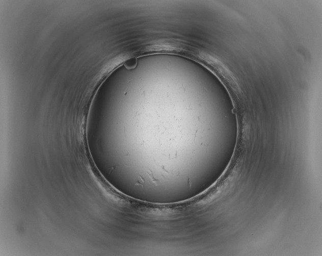 X0000112751233200909031520