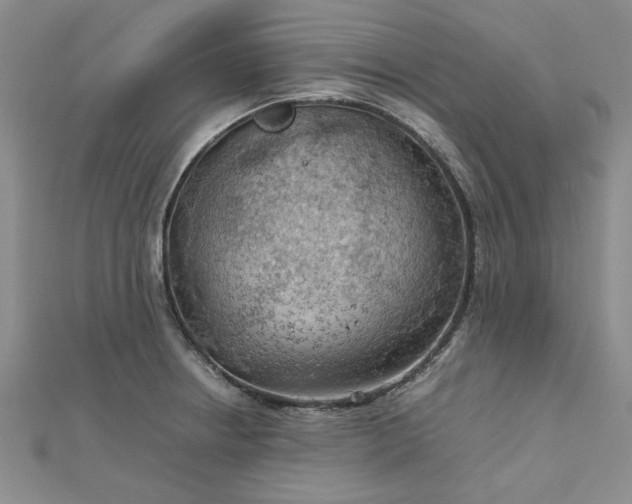 X0000112751234200909031520