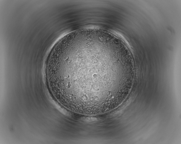 X0000112751235200909031520