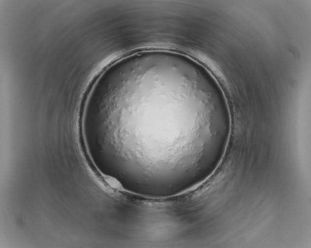 X0000112751237200909031520