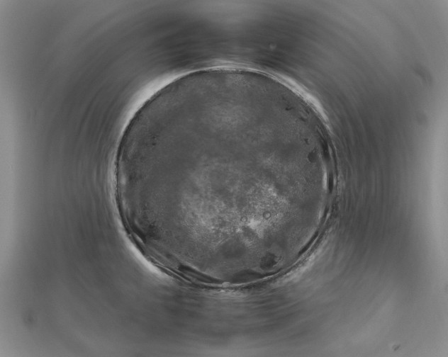 X0000112751239200909031520