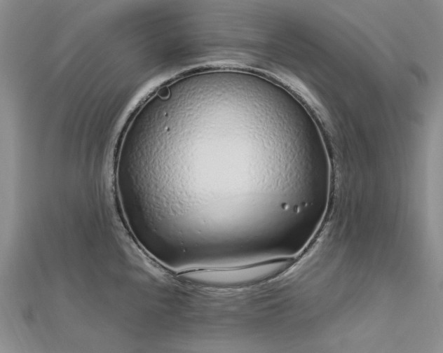 X0000112751240200909031520