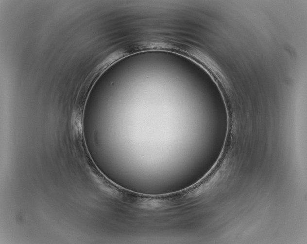 X0000112751241200909031520