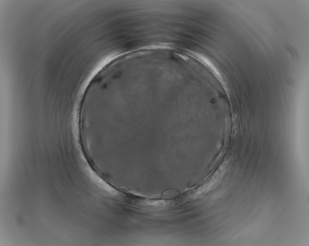 X0000112751243200909031520