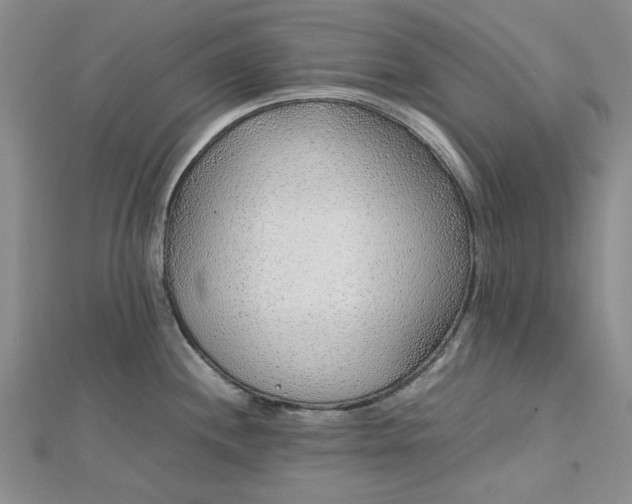 X0000112751244200909031520