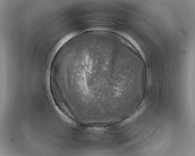 X0000112751245200909031520