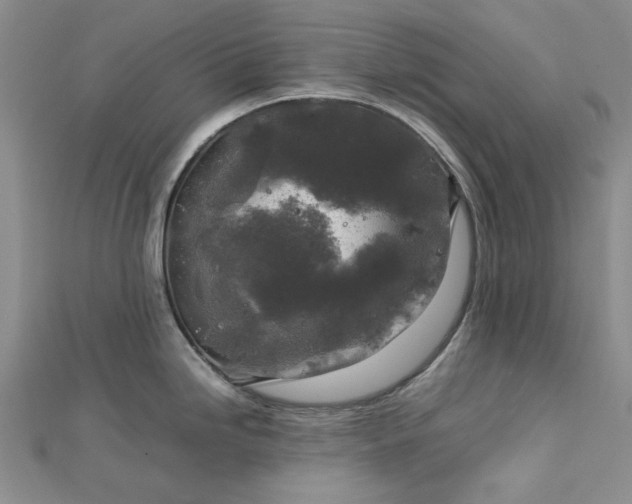 X0000112751246200909031520