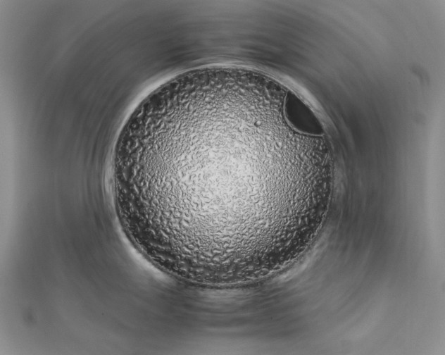 X0000112751247200909031520