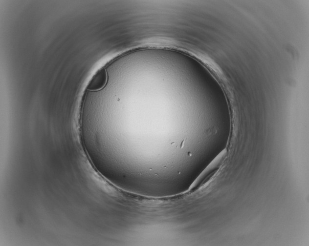 X0000112751248200909031520