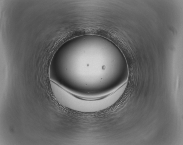 X0000112751249200909031519