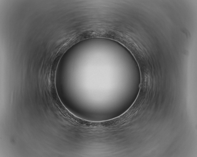 X0000112751250200909031519