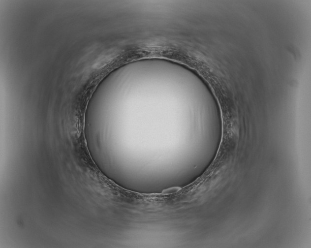 X0000112751253200909031519