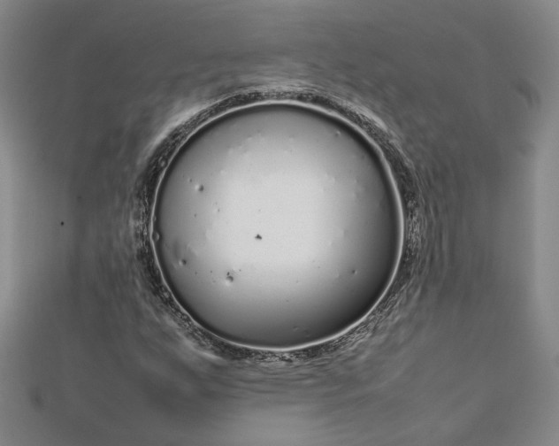 X0000112751255200909031519