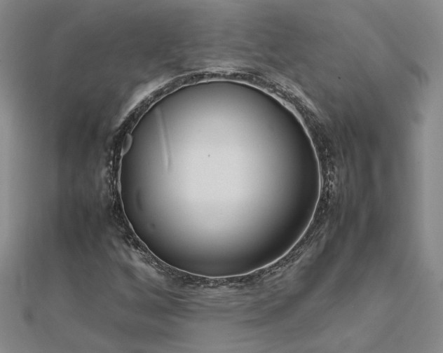 X0000112751256200909031519