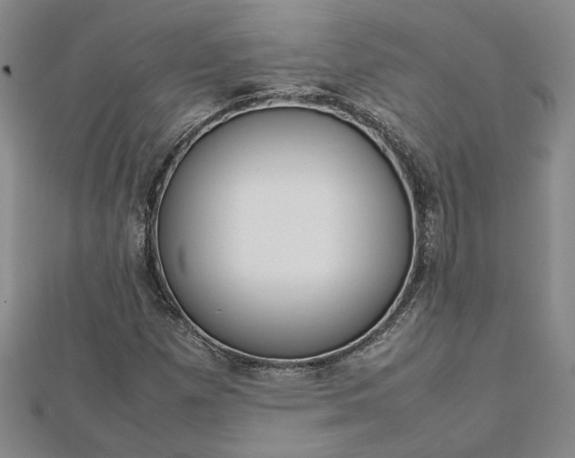 X0000112751257200909031519