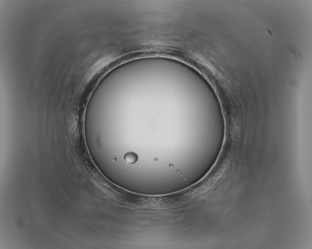 X0000112751259200909031519