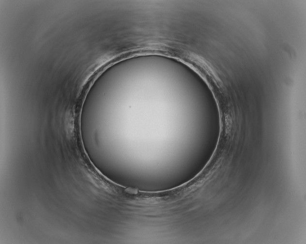 X0000112751260200909031519